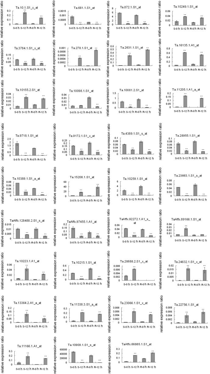 Supplementary Figure 1