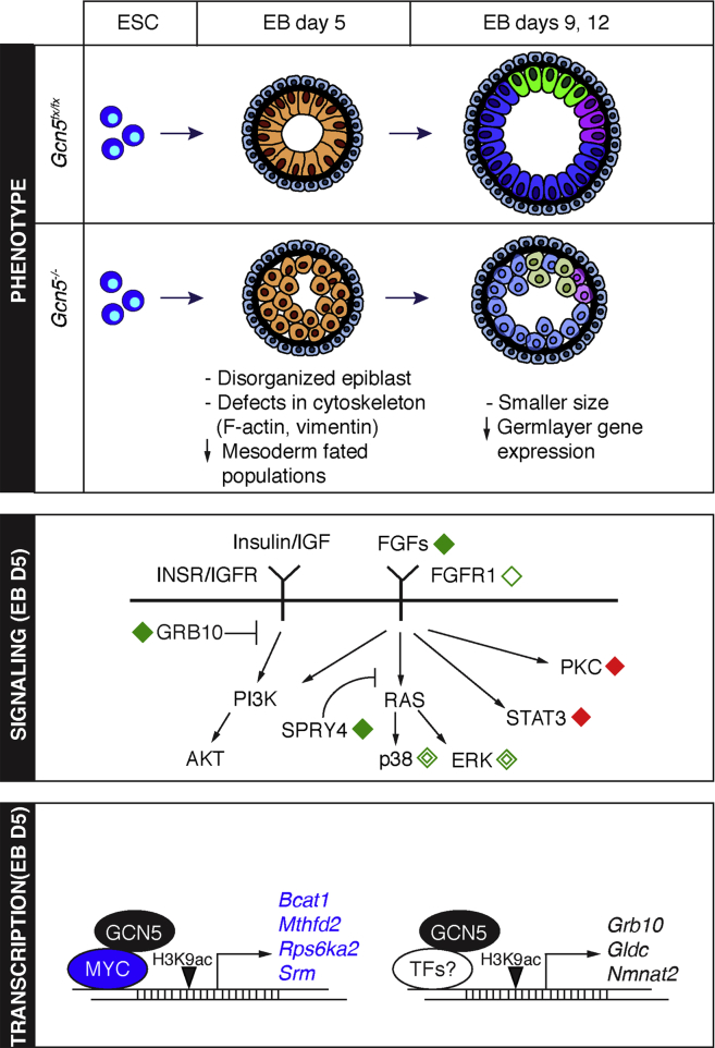 Figure 6