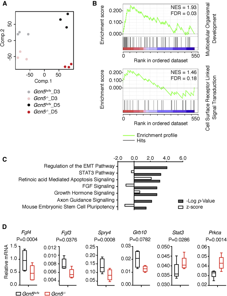 Figure 3