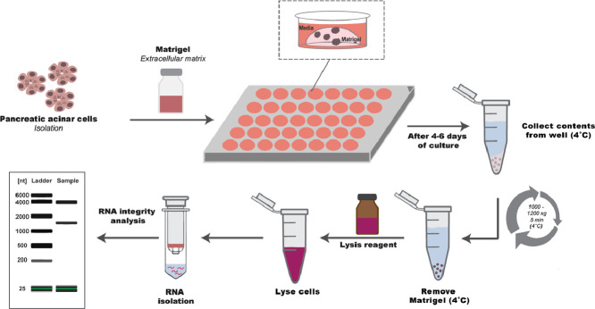 Image, graphical abstract