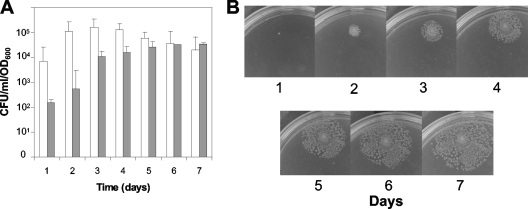 FIG. 3.