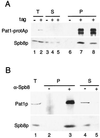 FIG. 6