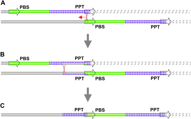 Figure 4.—