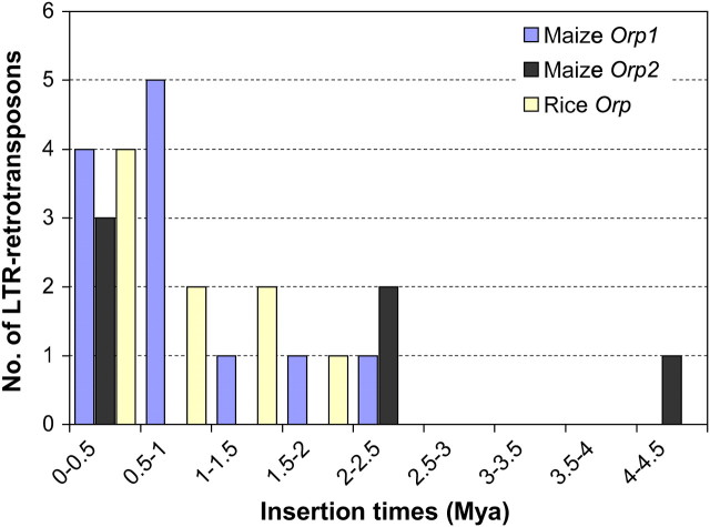 Figure 3.—