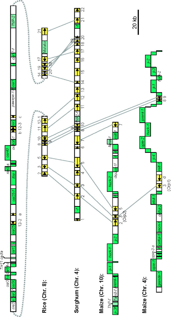 Figure 1.—