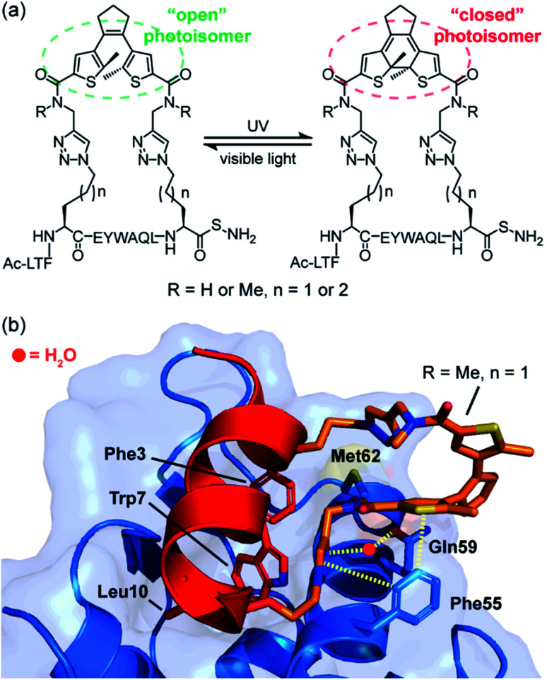 Fig. 3