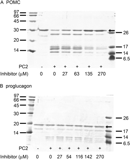 Fig. 9.