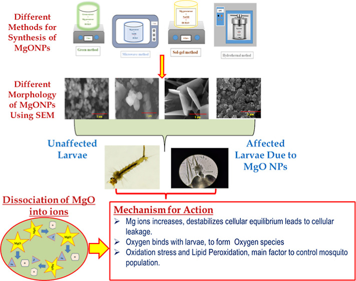 graphic file with name ao2c01450_0009.jpg