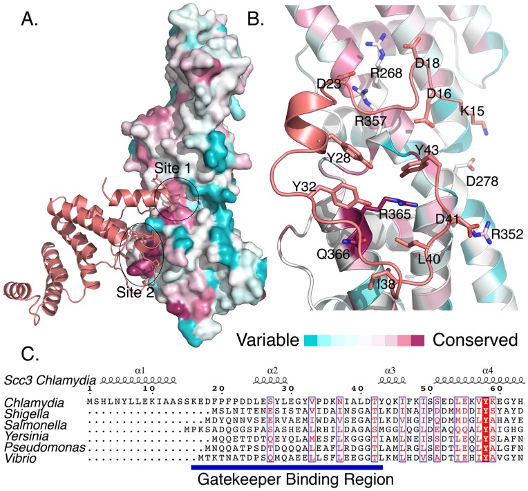 Figure 2