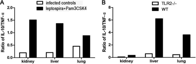 FIG 5