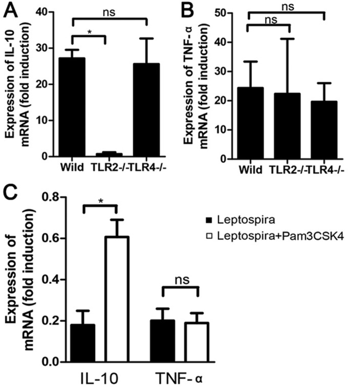 FIG 6