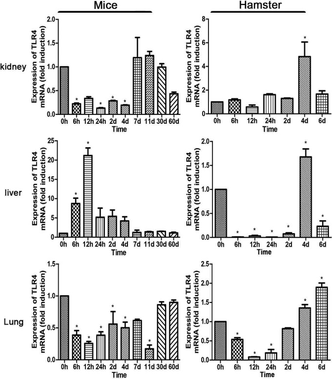 FIG 2