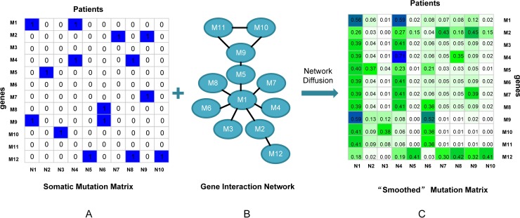 Figure 7