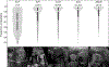 Extended Data Fig. 3 |
