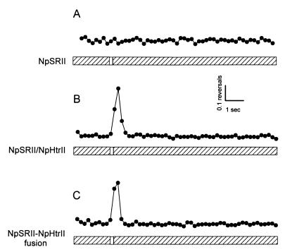 FIG. 6