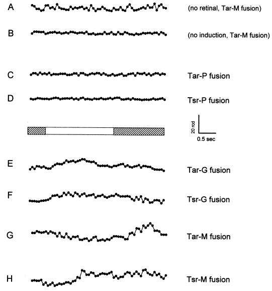 FIG. 7