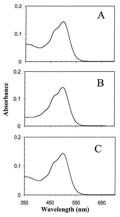 FIG. 5