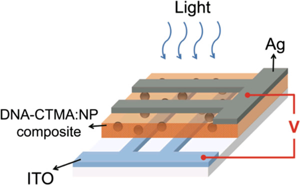 Figure 25