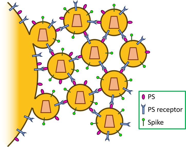 Figure 2: