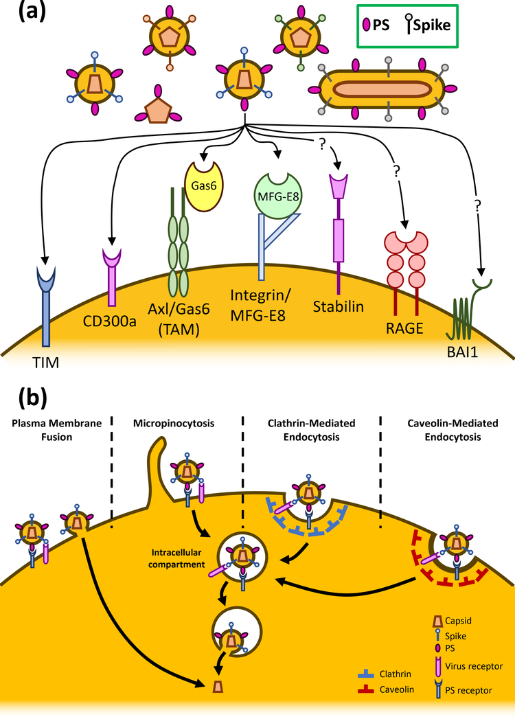 Figure 1: