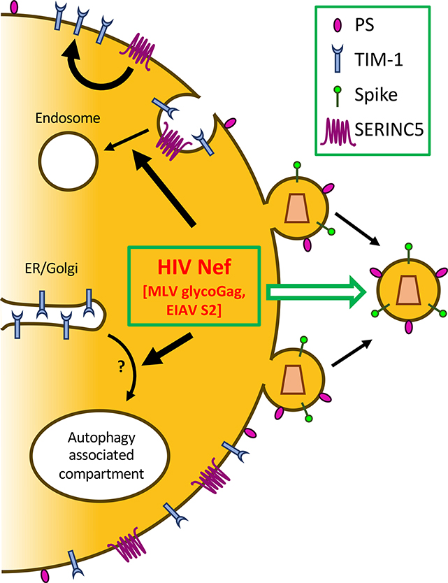 Figure 3: