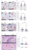 Figure 2—figure supplement 1.