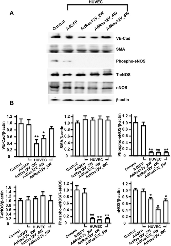 Fig 5