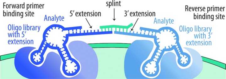 FIG. 3.