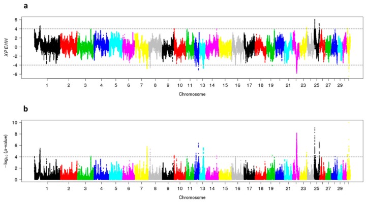 Figure 6