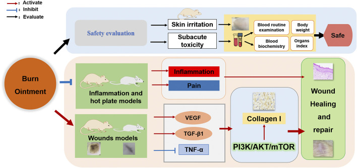 GRAPHICAL ABSTRACT