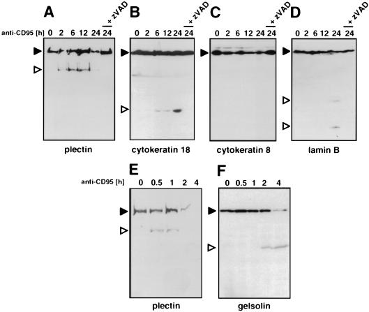 FIG. 8