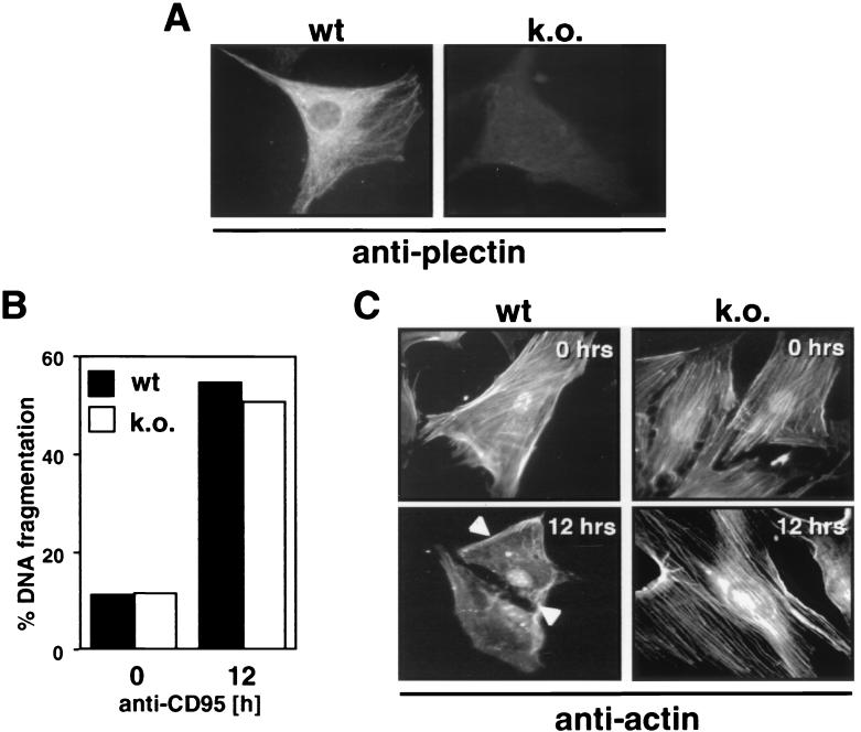 FIG. 9