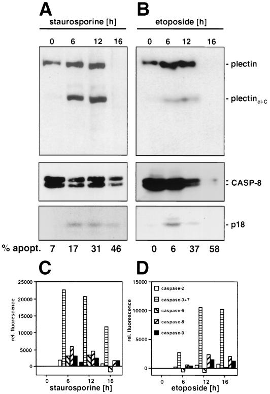 FIG. 5