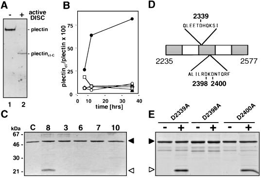 FIG. 7