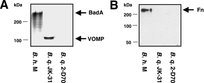 FIG. 7.