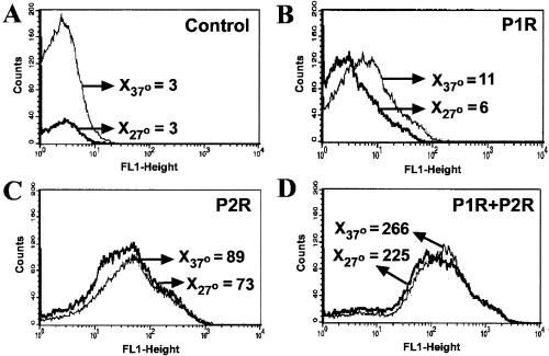 FIG. 5