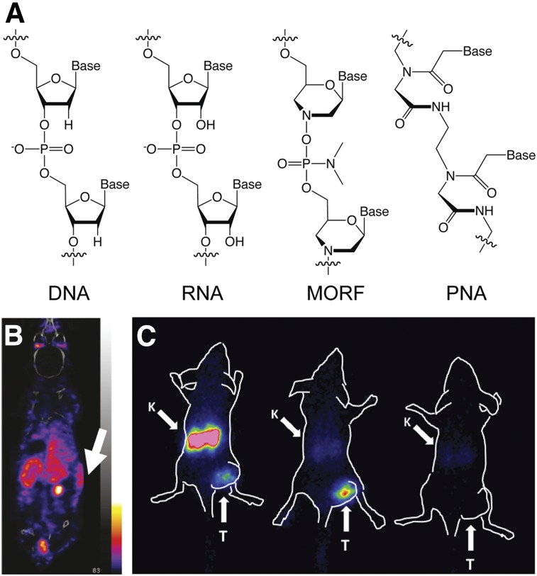 FIGURE 4.