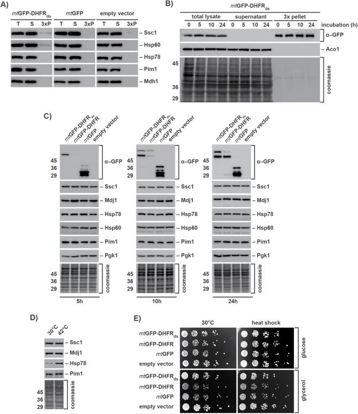 FIGURE 3: