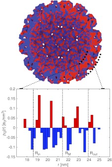 Fig. 6