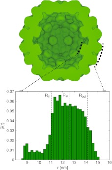 Fig. 2