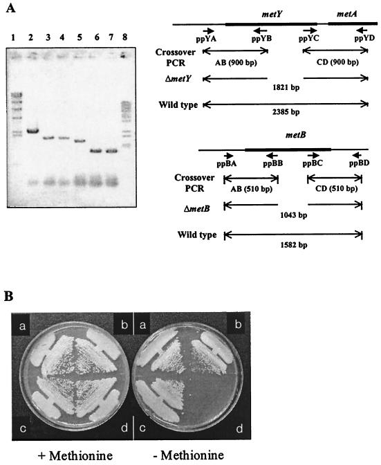 FIG. 6.