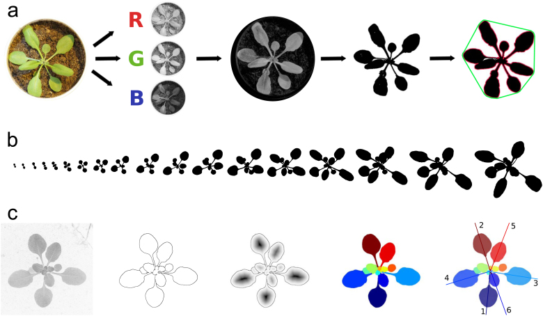 Figure 2. 