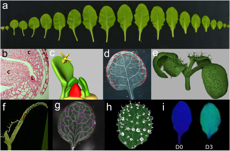 Figure 3. 