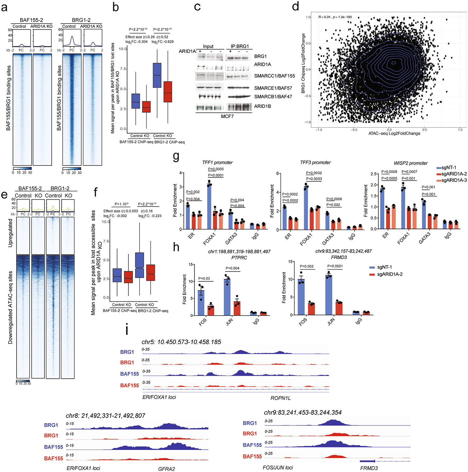 Extended Data Fig. 5 |