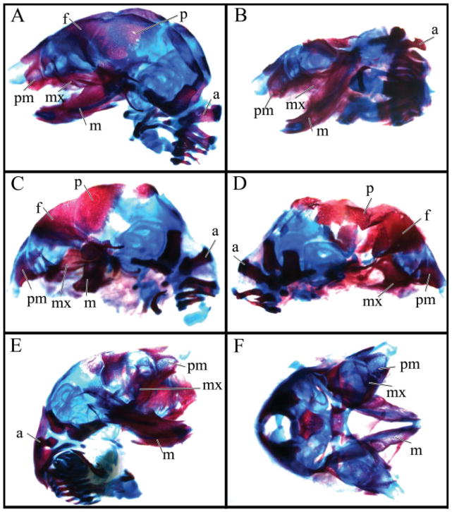 Fig. 3