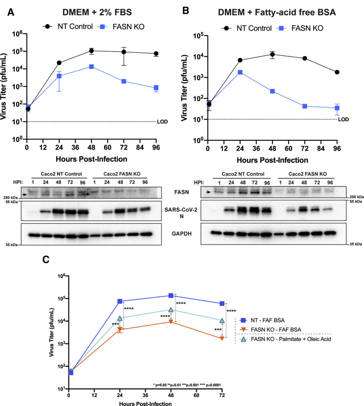 Figure 7