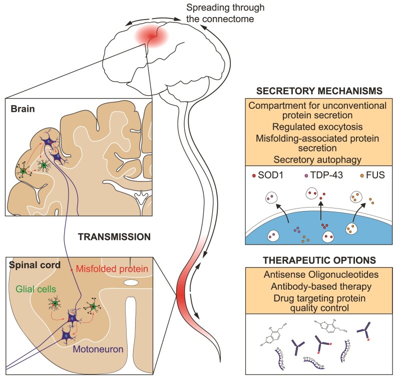 Graphical Abstract