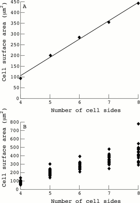 Figure 4  