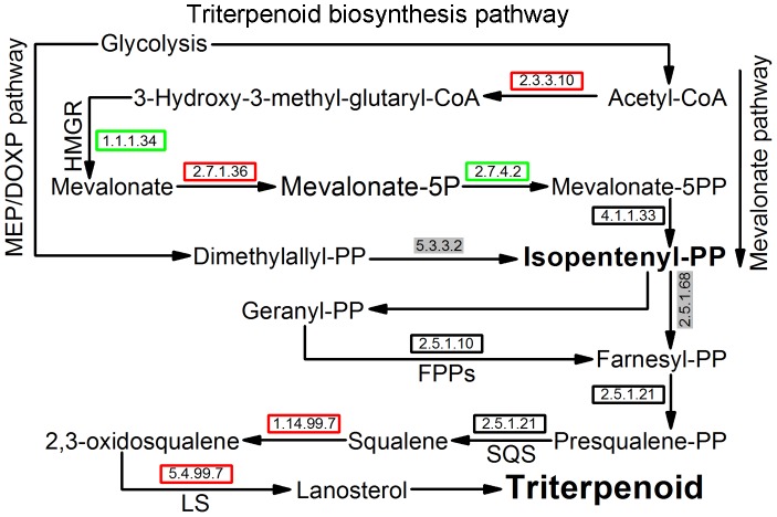 Figure 7