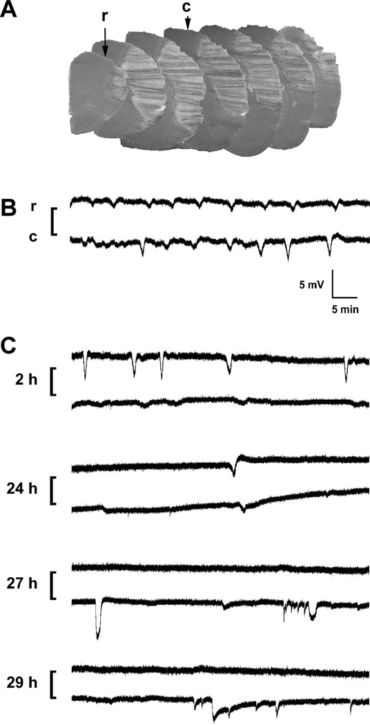 Fig. 2